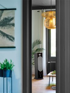 Sort Focal Chora 826 gulvhøjttaler set fra 3/4 bagfra i et interiør med en hængende designerlampe og en grøn plante