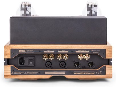 Висококачествен предусилвател за слушалки Feliks Audio Envy Performance от дъб, заден изглед с RCA и XLR конектори, черен и дърво