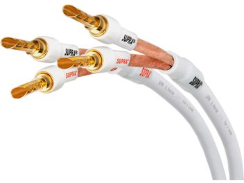 Quatre câbles audio blancs Supra terminés par des connecteurs banane dorés, disposés en éventail sur fond blanc