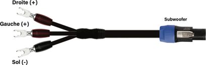 Kabel stereofoniczny Audioquest do subwoofera REL 2m