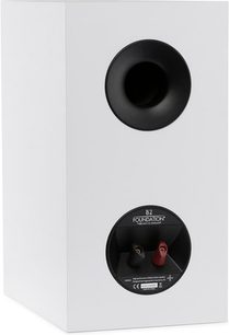 MartinLogan Foundation B2 wit mat