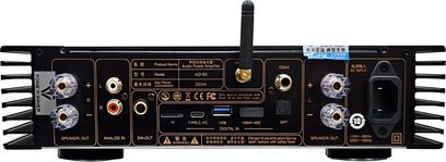 Tonewinner stereo-forstærker set bagfra med højttalerterminaler, analoge og digitale indgange samt wifi-antenne