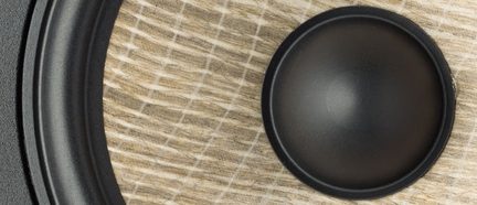 Focal Sub 1000 UN – optimalus garsiakalbis iš linų