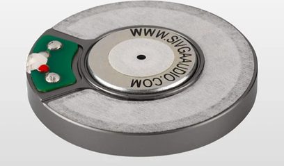 Lys grå vinylplade med grøn og hvid centraletiket "WWW.SIVGA.COM WOOD" og rød centralhulning, set oppefra