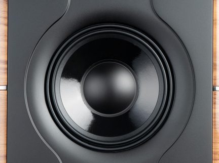 Naheraufnahme eines schwarzen Hi-Fi-Tieftöners, glänzende Membran in modernem Holzgehäuse eingelassen