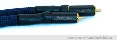 MPC Audio Presence Evo II RCA-lydkabel, flettede marineblå kabler, forgyldte RCA-stik, nærbillede