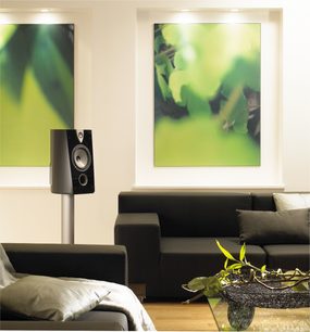 Focal Profile 908 sort højttaler, grønne højttalere, moderne stue med grå sofa, grøn plante, sløret grønt maleri
