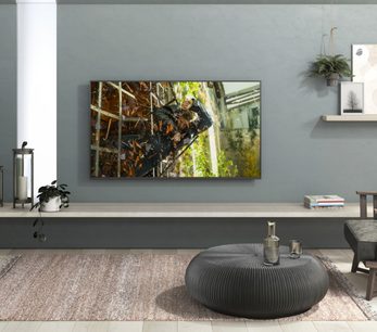 Panasonic TX-55HX900E-fladskærm, der viser et billede af tæt, sammenfiltret løvværk, set forfra i en moderne stue