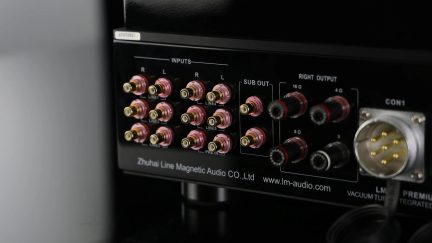 Bagsiden af en sort Line Magnetic-forstærker med RCA-indgange, subwooferudgang og højttalerterminaler