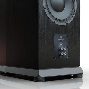 Talni zvočnik Mofi Electronics SourcePoint V10 črne barve, zadnji pogled pod kotom s priključnimi terminali in črnim lesenim zaključkom