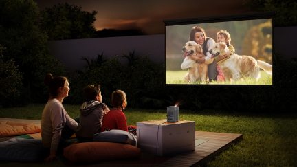 Familie ser en film projiceret udendørs om aftenen, med to Golden Retriever-hunde i forgrunden på græsplænen