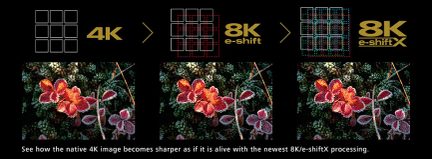 Vertailu 4K:n, 8K e-shiftin ja 8K e-shiftX:n kuvaresoluutioiden välillä lähikuvassa punaisista kukista