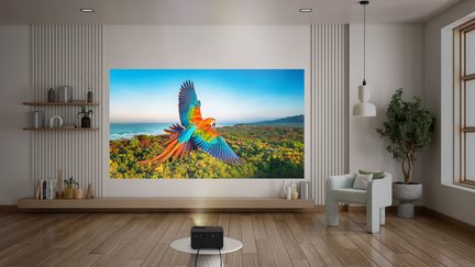 Videoproiettore nero su tavolo rotondo, immagine di un ara multicolore proiettata su muro bianco, soggiorno con pavimento in legno, vista frontale