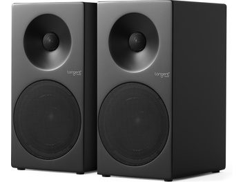 Para kolumn głośnikowych Tangent Spectrum II X5 w kolorze czarnym, z perforowanymi metalowymi osłonami, widok z przodu pod kątem trzech czwartych
