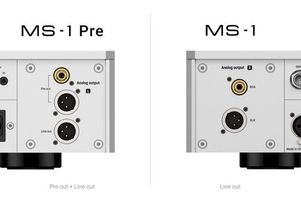 Panneau arrière gris clair en métal, vue de face, présentant deux configurations : à gauche « MS‑1 Pre » avec sortie analogique gauche dotée d’une prise RCA dorée et de deux connecteurs XLR femelles empilés, à droite « MS‑1 » avec sortie analogique droite composée d’une prise RCA dorée et d’un unique connecteur XLR femelle