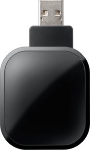 Schwarzer Panasonic TX-P50V20E USB-Stick, Vorderansicht, mit zwei silberfarbenen USB-Anschlüssen oben
