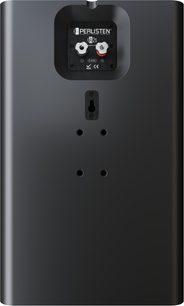 Enceinte d’effet Perlisten A2s, vue arrière, noir mat, bornes métalliques rouge et blanche, fixation en trou de serrure