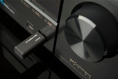 Bærbar Audioquest Jitter Bug FMJ-lydkonverter, nærbillede af forsiden med USB-stik og logo