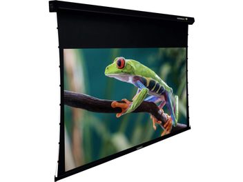 Pantalla de proyección motorizada Lumene Coliseum UHD 4K8K PLATINUM 270C desplegada mostrando una rana verde y azul en una rama