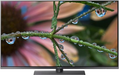 Nærbilde av vanndråper på en gren med grønne blader, med en Panasonic TX-55FX780 TV-skjerm i bakgrunnen