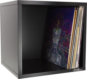 Sort opbevaringsmøbel med glaslåge, der viser en farverig, stiliseret illustration af et kvindeligt ansigt og lodret opstillede vinylplader