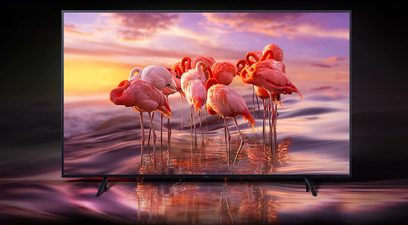 Samsung QE65Q64R-tv, der viser en flok flamingofugle i vandet ved solnedgang, med refleksioner på overfladen